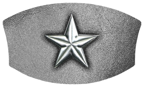 DNSWILL 430 SL SL Star Silver Silver